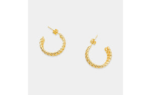 Wavy Chain Earrings