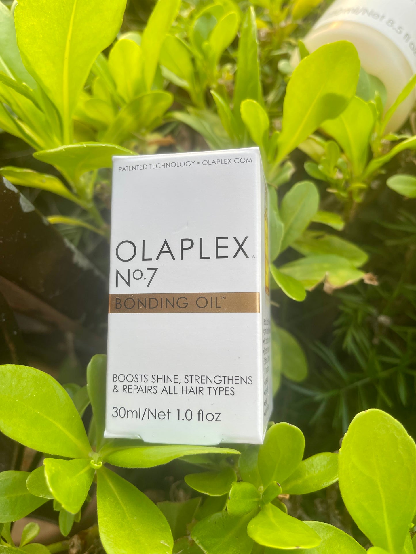 OLAPLEX