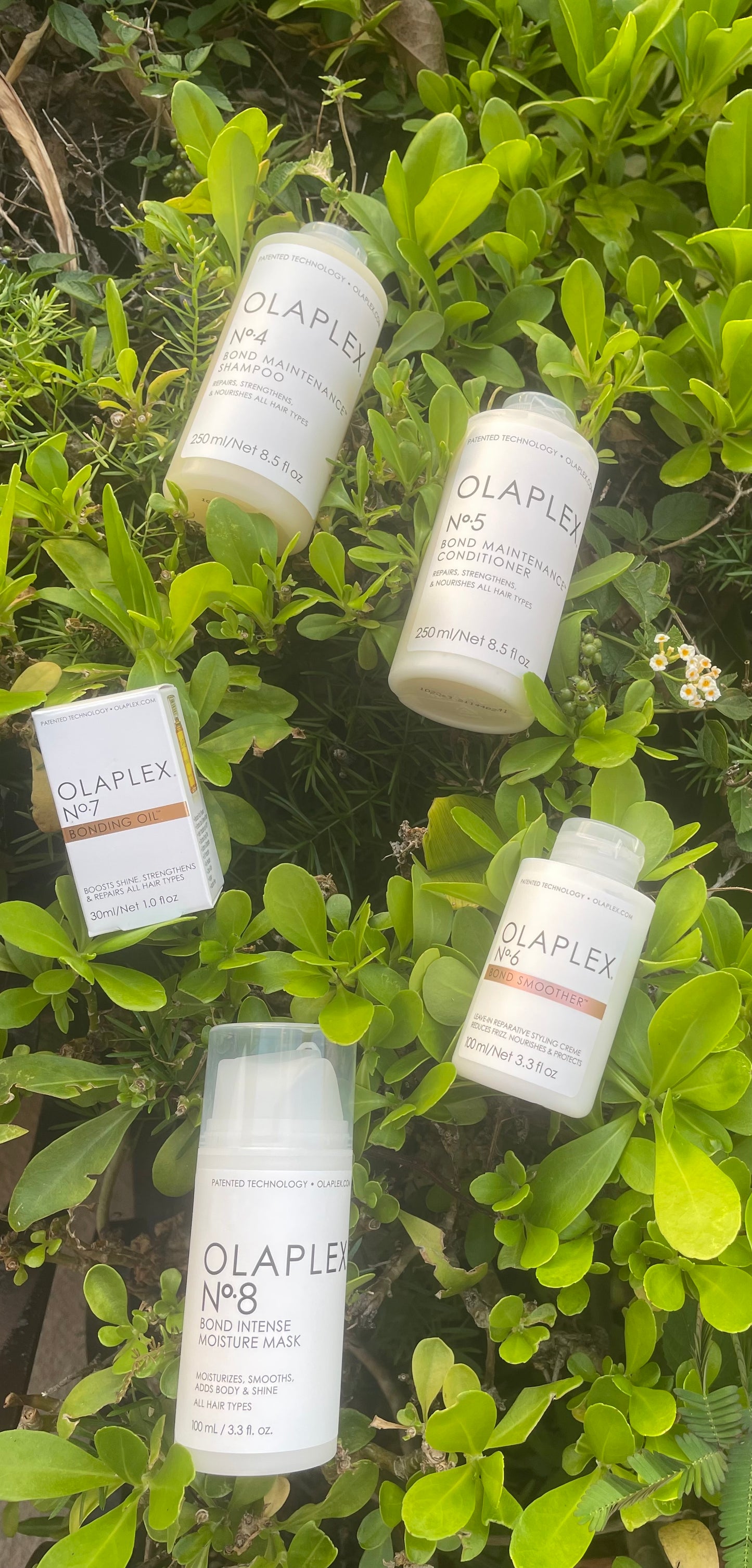 OLAPLEX