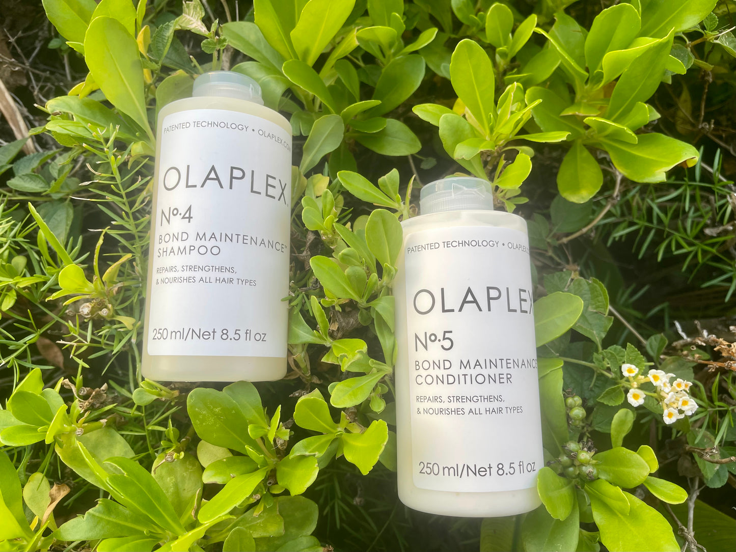OLAPLEX